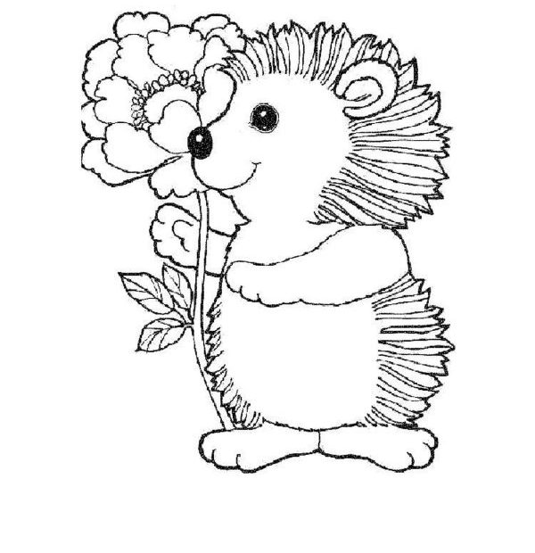 Online coloring book: Coloring book hedgehog with flower